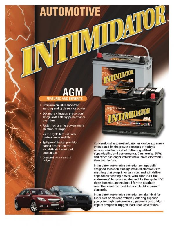 Deka Intimidator 35/85 San Diego Batteries - Image 2