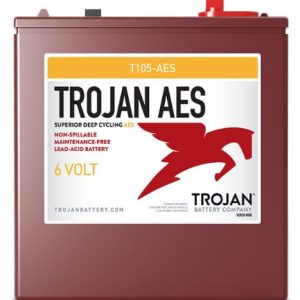 T105-AES 6V AGM Battery